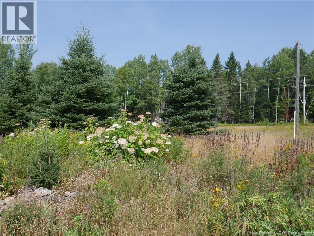 1488 Route 390, Gladwyn, New Brunswick E7H 4R7 - Photo 29 - NB124655