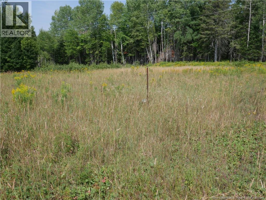 1488 Route 390, Gladwyn, New Brunswick E7H 4R7 - Photo 30 - NB124655
