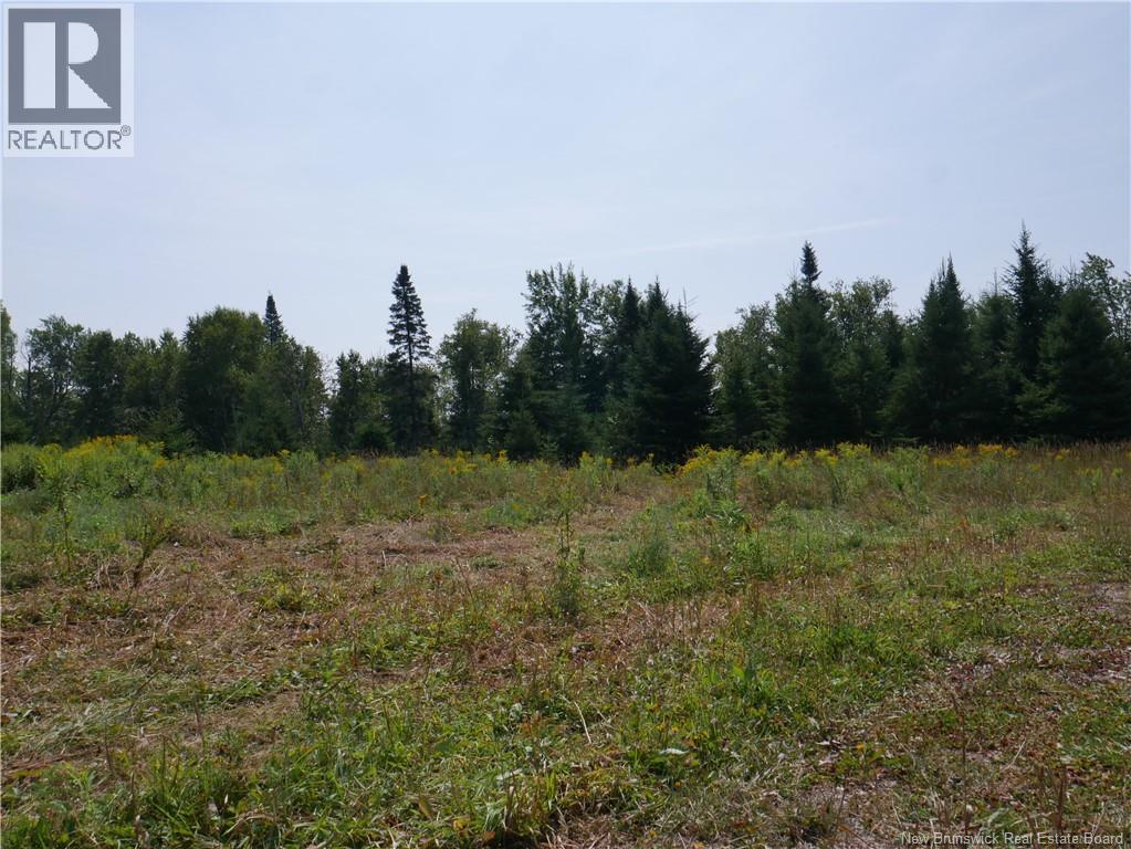 1488 Route 390, Gladwyn, New Brunswick E7H 4R7 - Photo 7 - NB124655