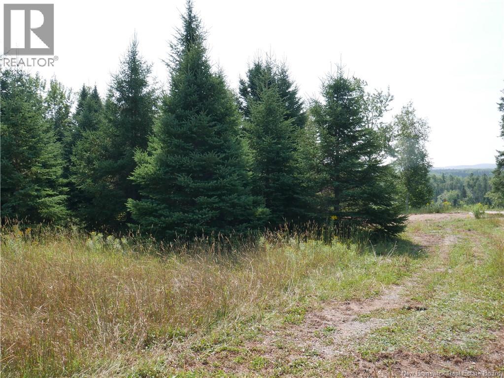 1488 Route 390, Gladwyn, New Brunswick E7H 4R7 - Photo 8 - NB124655