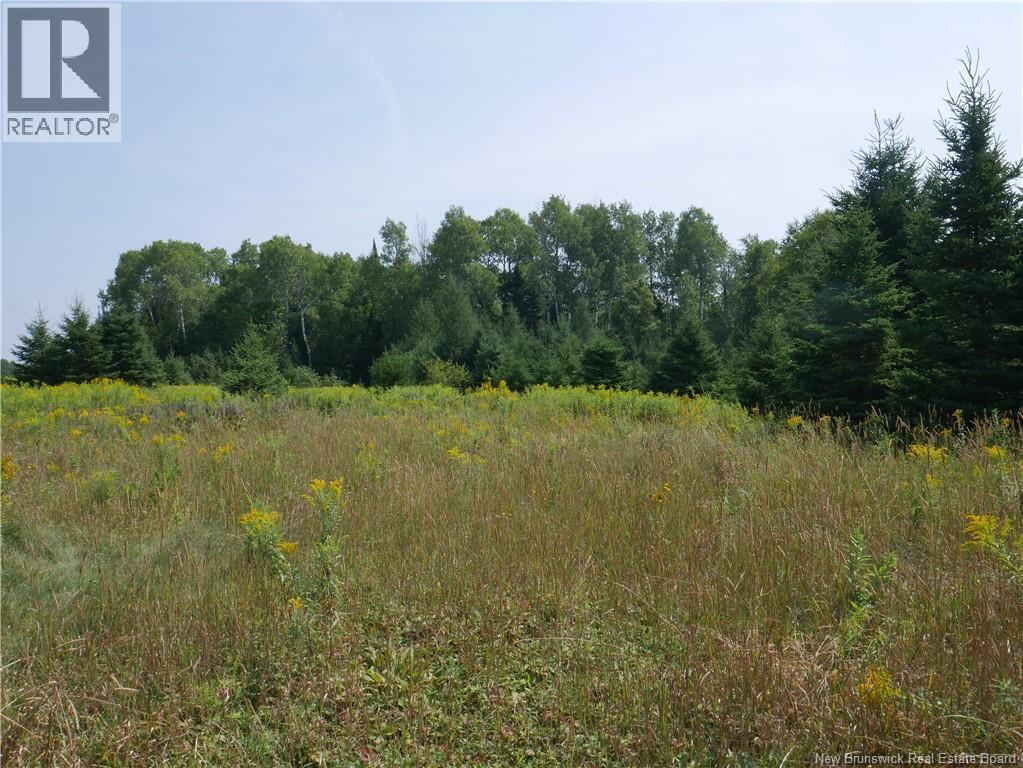 1488 Route 390, Gladwyn, New Brunswick E7H 4R7 - Photo 9 - NB124655