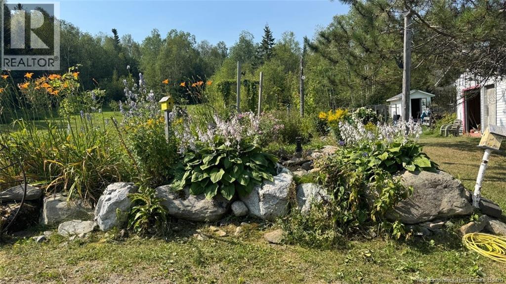 402 Roussel Martin Road, Saint-Joseph, New Brunswick  E7B 2R5 - Photo 21 - NB124721