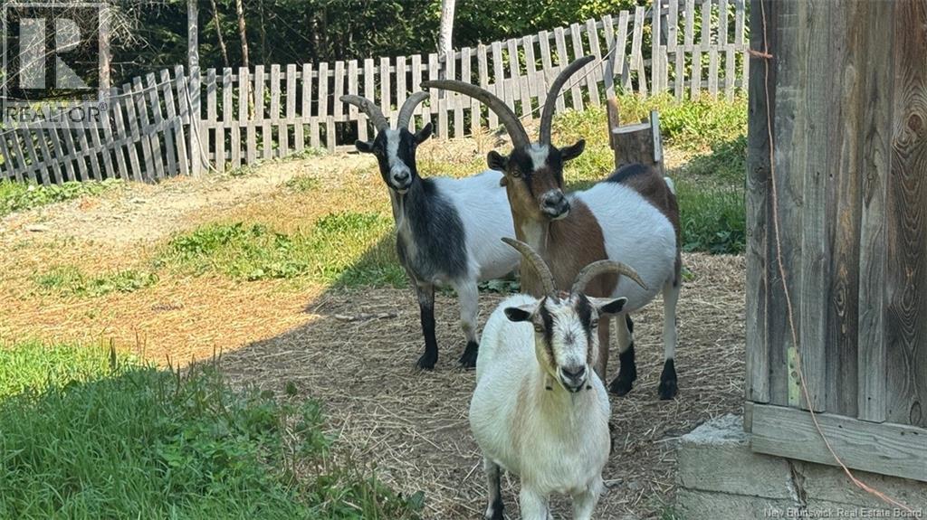 402 Roussel Martin Road, Saint-Joseph, New Brunswick  E7B 2R5 - Photo 30 - NB124721