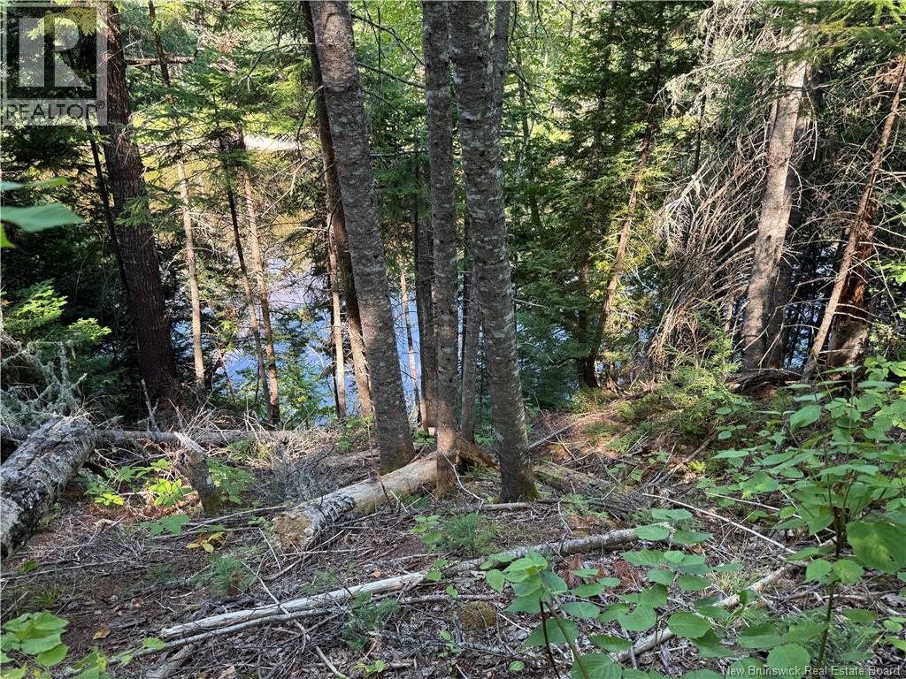 0 425 Route, Curventon, New Brunswick E9E 1M4 - Photo 15 - NB124795