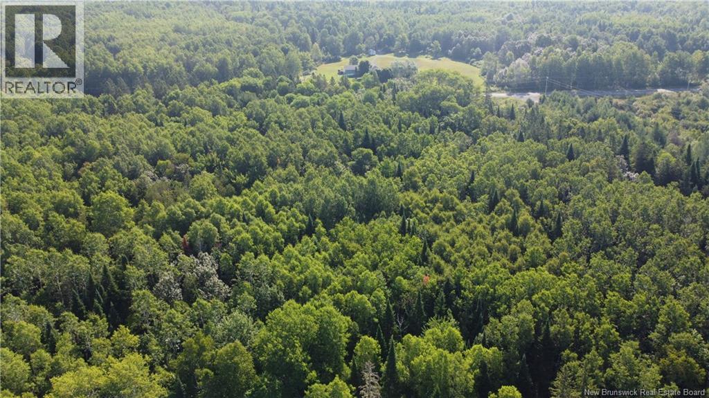 0 425 Route, Curventon, New Brunswick E9E 1M4 - Photo 8 - NB124795