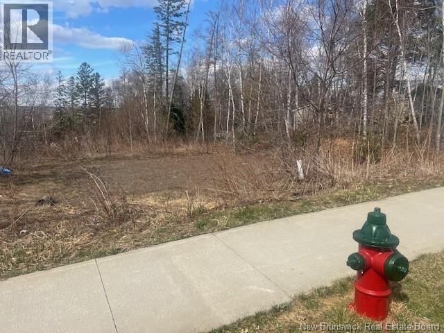 37 Whisperwood Drive, Fredericton, New Brunswick  E3C 0J8 - Photo 3 - NB124802