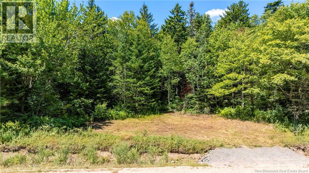 Woodlot Route 935, Rockport, New Brunswick