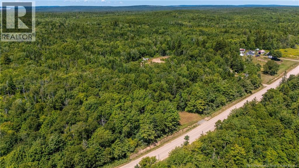 Woodlot Route 935, Rockport, New Brunswick E4K 3N1 - Photo 10 - NB124843