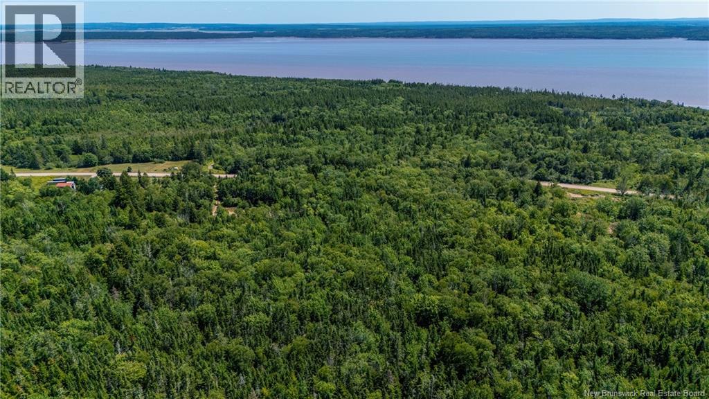 Woodlot Route 935, Rockport, New Brunswick E4K 3N1 - Photo 11 - NB124843