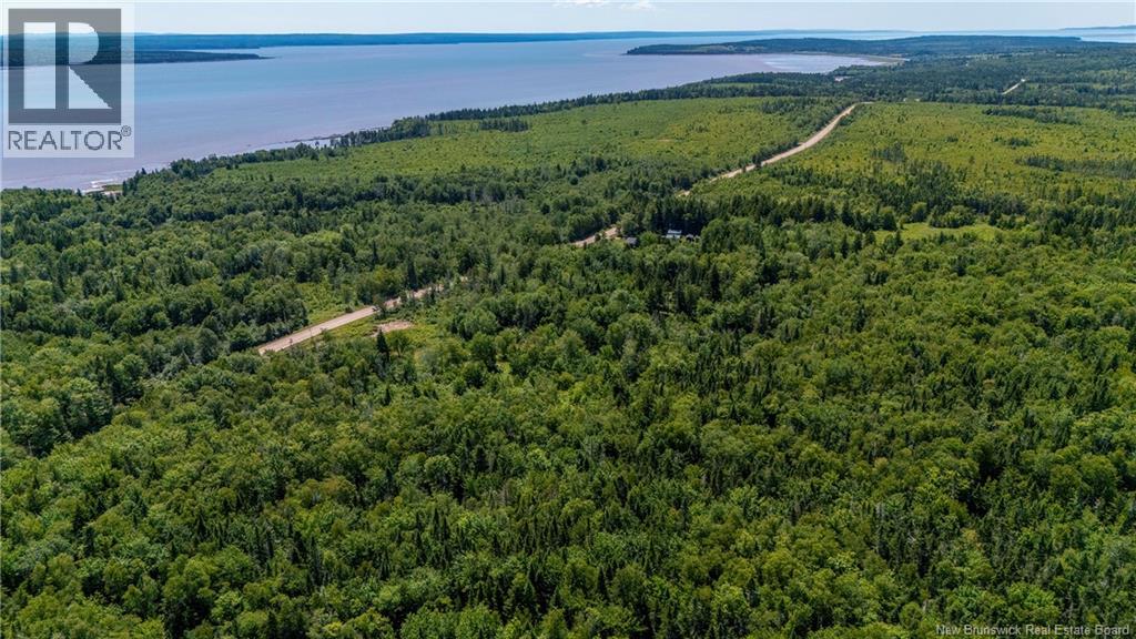 Woodlot Route 935, Rockport, New Brunswick E4K 3N1 - Photo 12 - NB124843