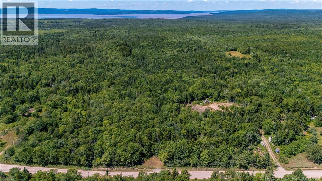 Woodlot Route 935, Rockport, New Brunswick E4K 3N1 - Photo 13 - NB124843