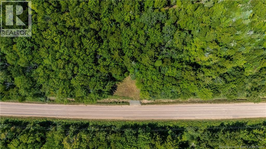 Woodlot Route 935, Rockport, New Brunswick E4K 3N1 - Photo 14 - NB124843