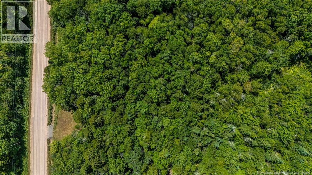 Woodlot Route 935, Rockport, New Brunswick E4K 3N1 - Photo 15 - NB124843