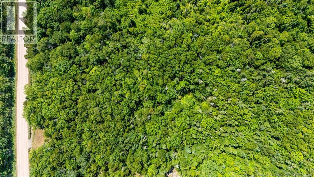 Woodlot Route 935, Rockport, New Brunswick E4K 3N1 - Photo 16 - NB124843