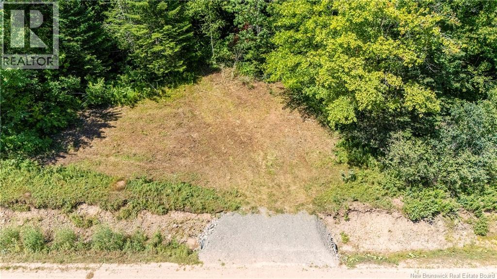 Woodlot Route 935, Rockport, New Brunswick E4K 3N1 - Photo 2 - NB124843