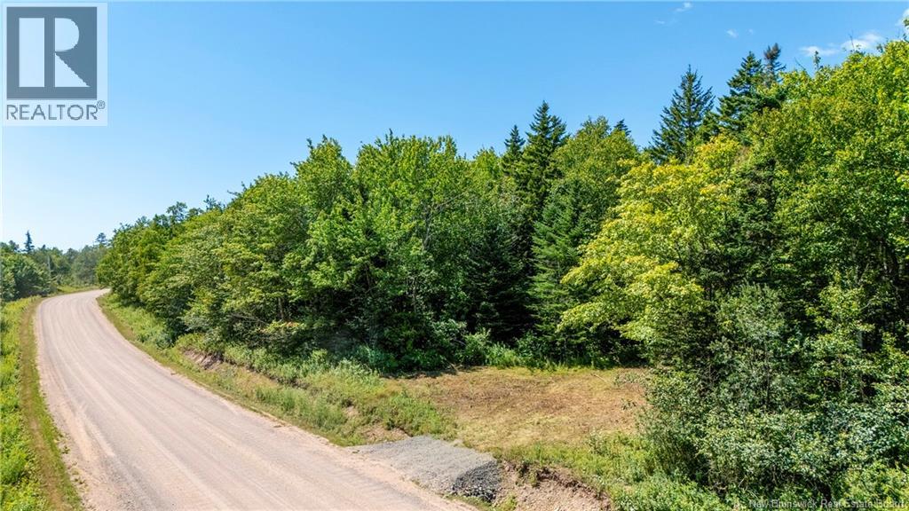 Woodlot Route 935, Rockport, New Brunswick E4K 3N1 - Photo 3 - NB124843