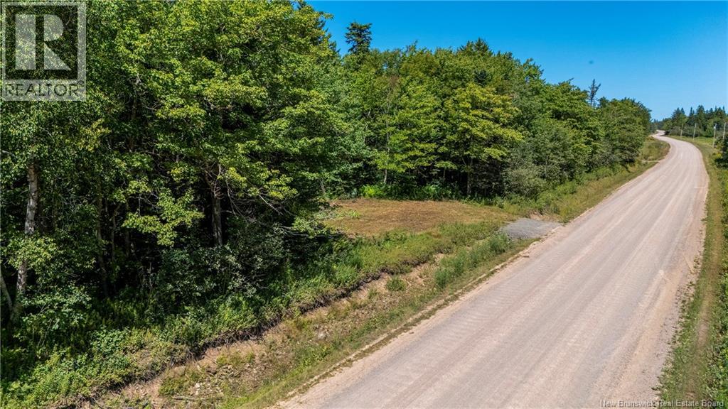 Woodlot Route 935, Rockport, New Brunswick E4K 3N1 - Photo 4 - NB124843