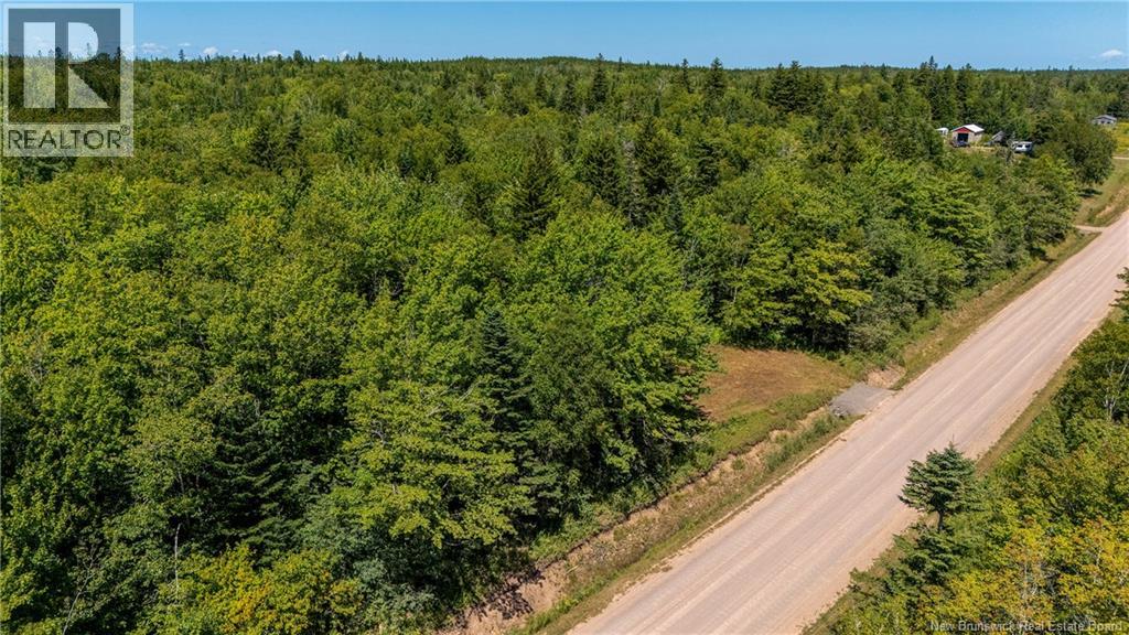 Woodlot Route 935, Rockport, New Brunswick E4K 3N1 - Photo 5 - NB124843