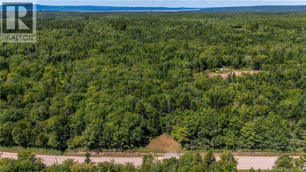 Woodlot Route 935, Rockport, New Brunswick E4K 3N1 - Photo 7 - NB124843