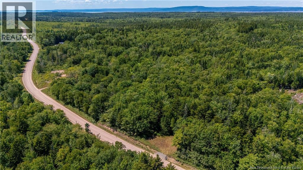 Woodlot Route 935, Rockport, New Brunswick E4K 3N1 - Photo 8 - NB124843