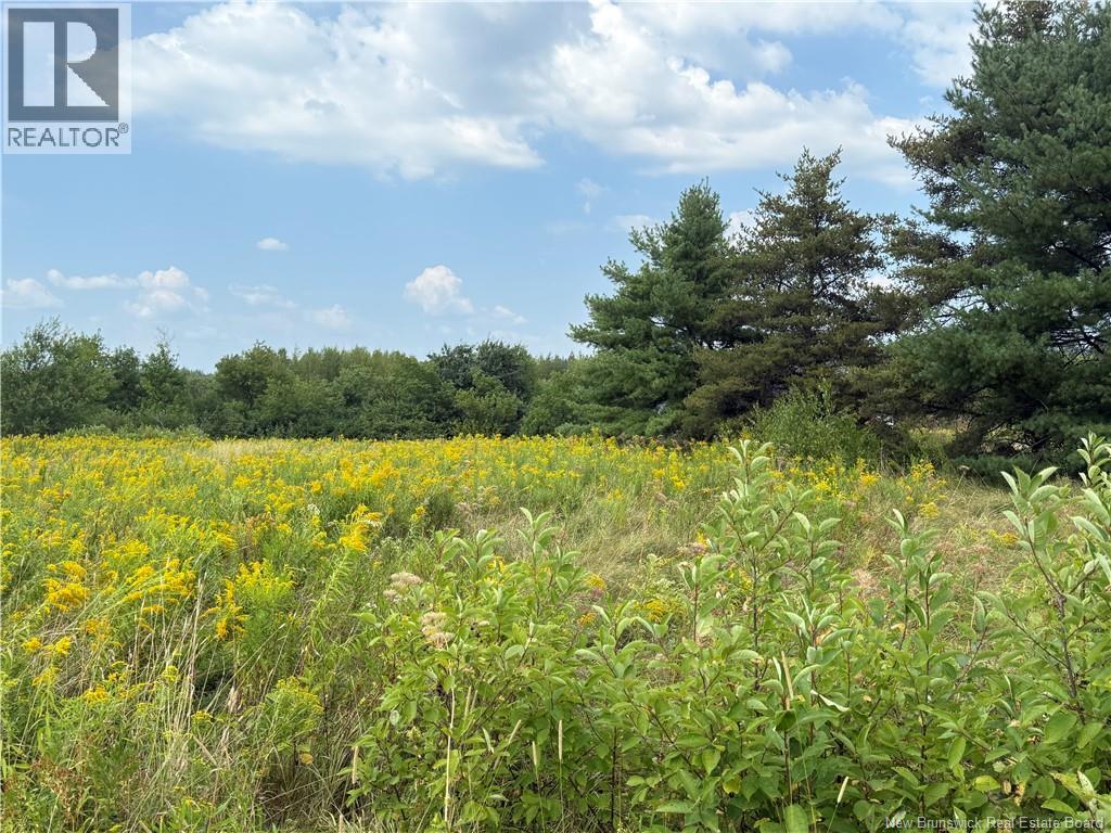 22-A Mcwilliams Road, Salisbury, New Brunswick  E4J 3C8 - Photo 3 - NB124881