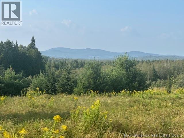 2601 Route 380, Anderson Road, New Brunswick  E7G 4G1 - Photo 4 - NB124689