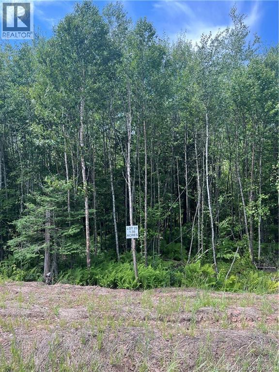 Lot Cedarwood Drive, Lakeside, New Brunswick  E5N 7K6 - Photo 1 - NB124942