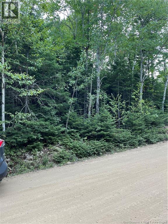 00 Val Doucet Little Lake, Val-Doucet, New Brunswick E8R 2B1 - Photo 3 - NB125005