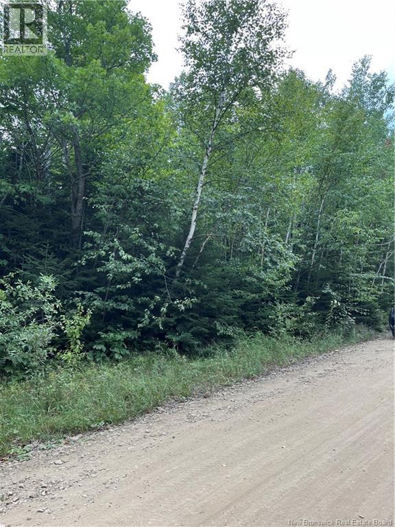 00 Val Doucet Little Lake, Val-Doucet, New Brunswick E8R 2B1 - Photo 5 - NB125005