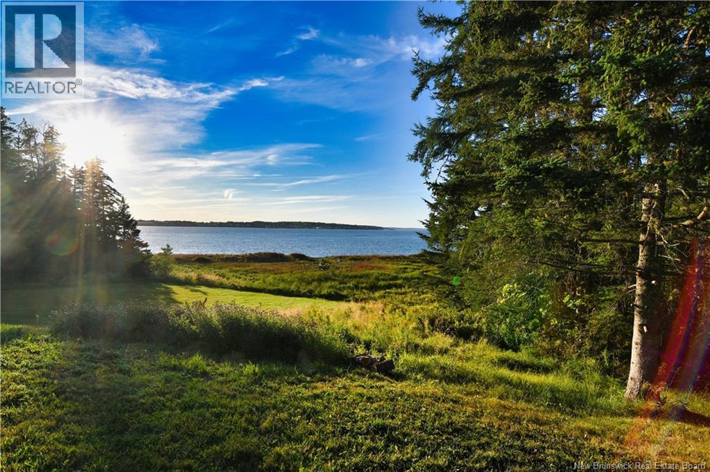 175 North Road, Welshpool, New Brunswick E5E 1C4 - Photo 17 - NB125126