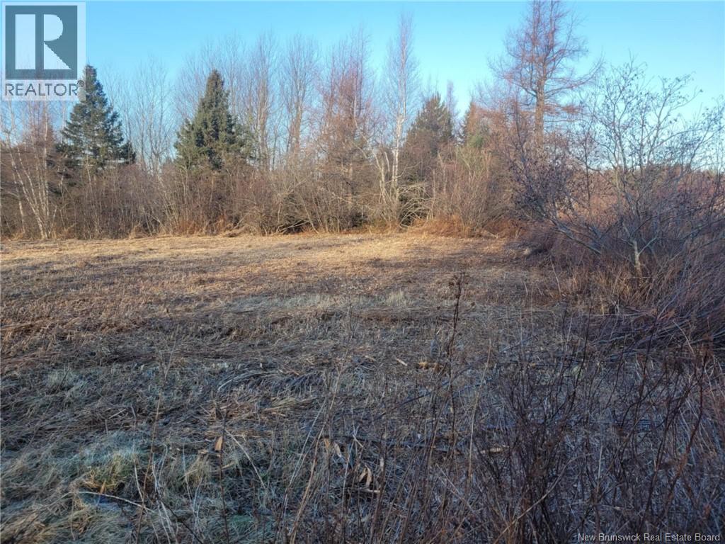 10665 Principale, Saint-Louis-De-Kent, New Brunswick  E4X 1G3 - Photo 10 - NB125200