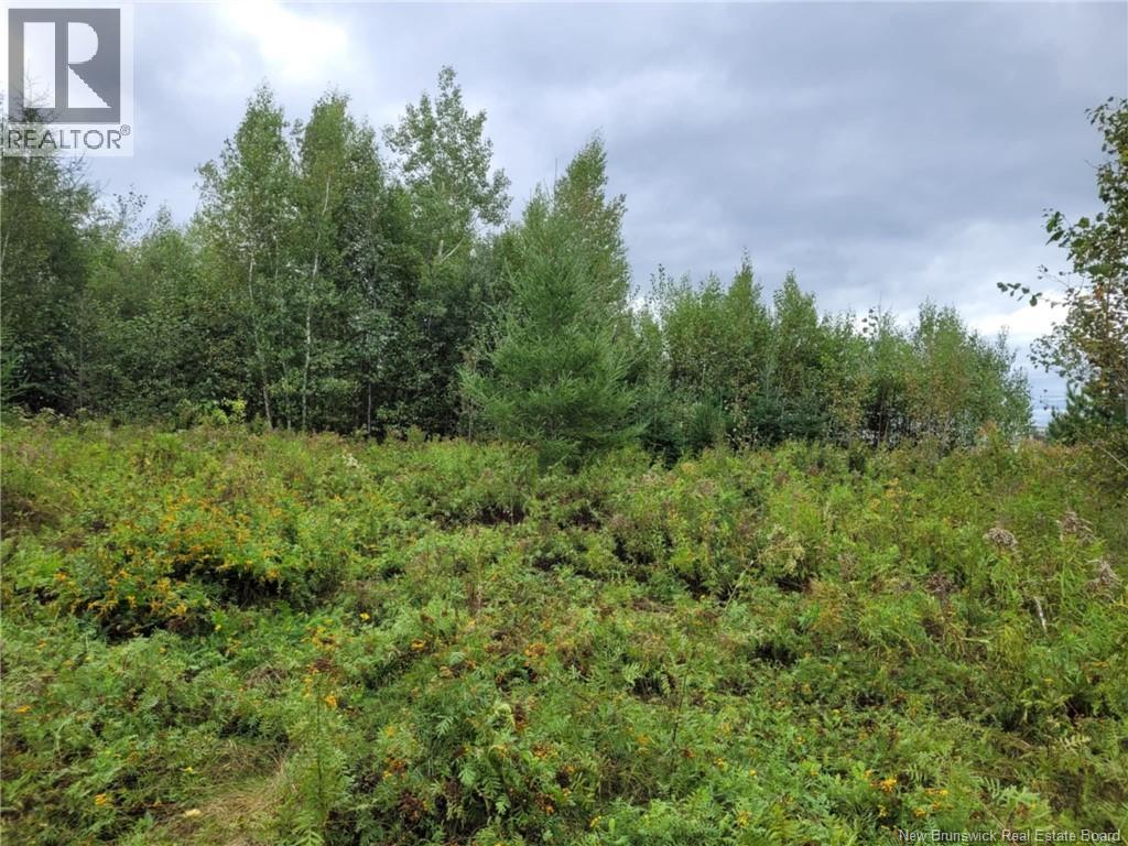 10665 Principale, Saint-Louis-De-Kent, New Brunswick  E4X 1G3 - Photo 14 - NB125200