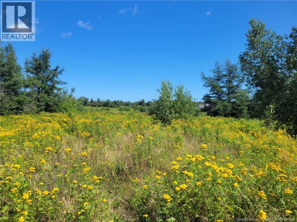 10665 Principale, Saint-Louis-De-Kent, New Brunswick  E4X 1G3 - Photo 16 - NB125200