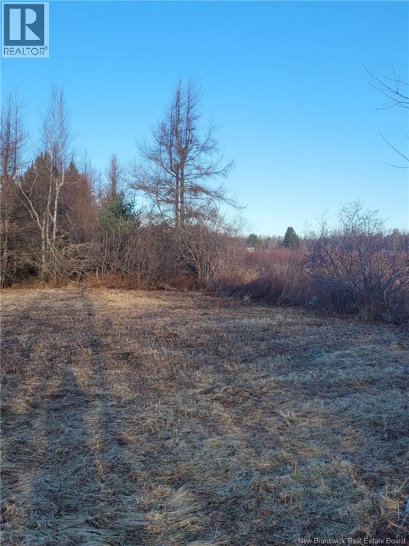 10665 Principale, Saint-Louis-De-Kent, New Brunswick  E4X 1G3 - Photo 5 - NB125200