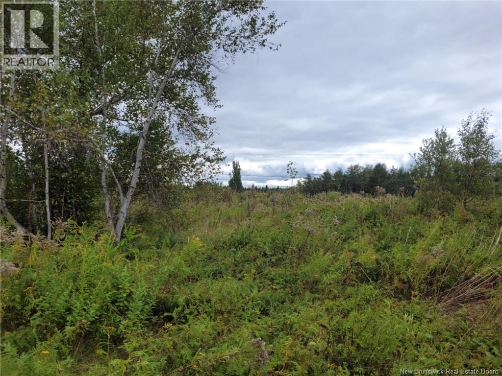 10665 Principale, Saint-Louis-De-Kent, New Brunswick  E4X 1G3 - Photo 9 - NB125200