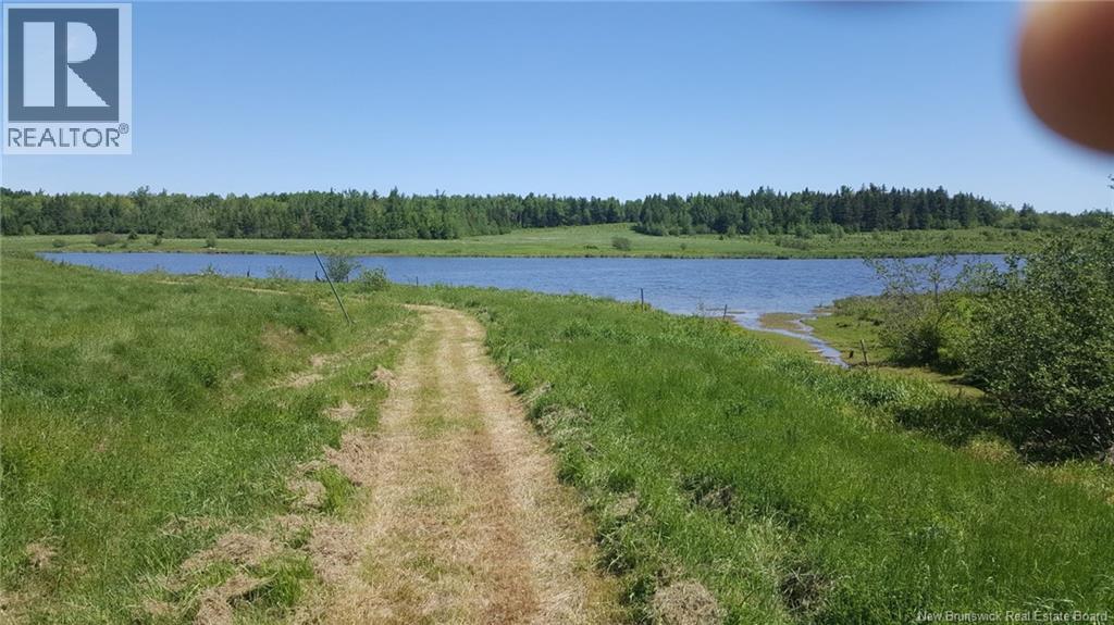 Lot Cocagne River, Cocagne, New Brunswick  E4R 3B8 - Photo 5 - NB125069