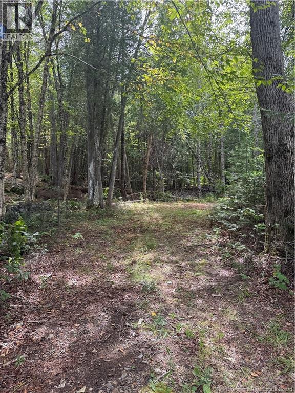 194 Upper Waweig Road, Waweig, New Brunswick