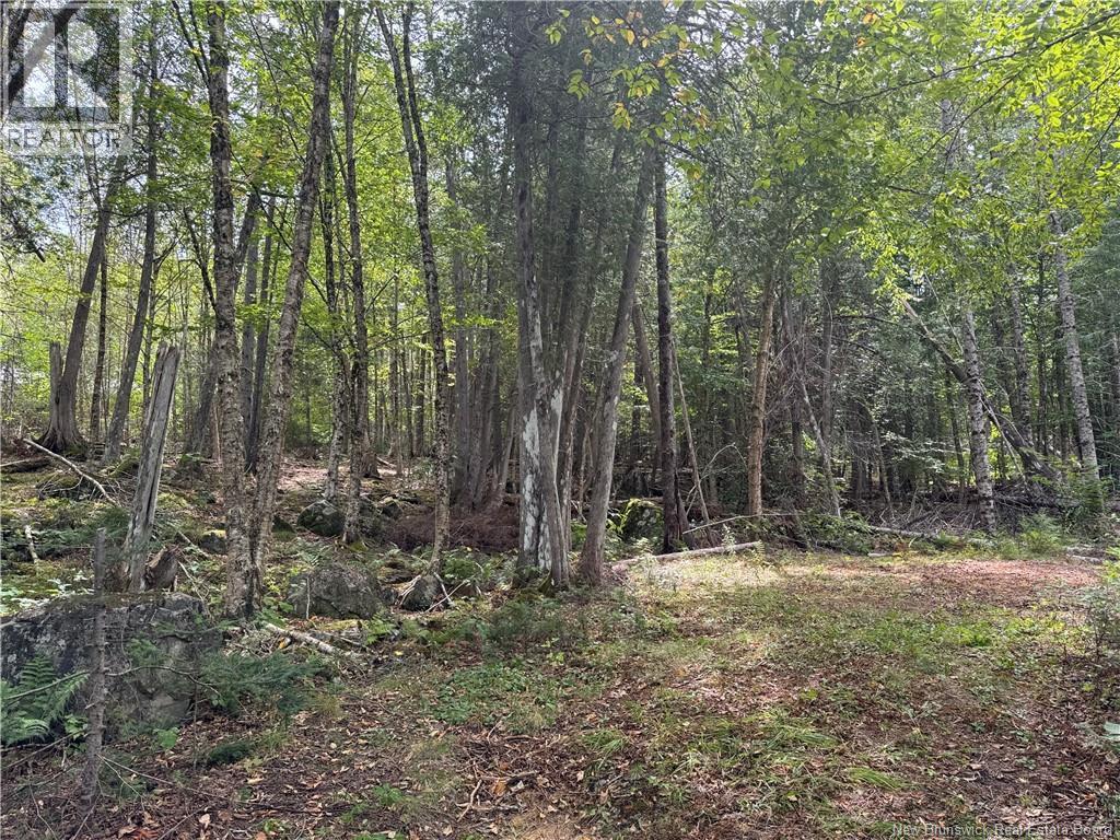 194 Upper Waweig Road, Waweig, New Brunswick E3L 4N1 - Photo 2 - NB125317