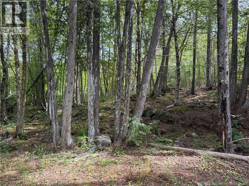 194 Upper Waweig Road, Waweig, New Brunswick E3L 4N1 - Photo 3 - NB125317