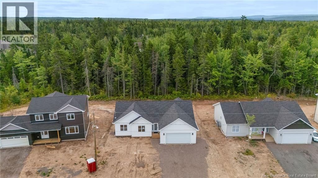 32 Carter Street, Dieppe, New Brunswick  E1A 0G4 - Photo 47 - NB125000