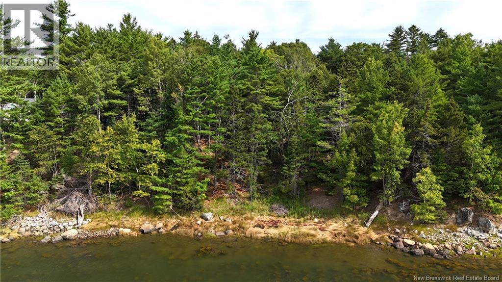 135 Pine Point Road, Dufferin, New Brunswick E3L 0G7 - Photo 43 - NB125285