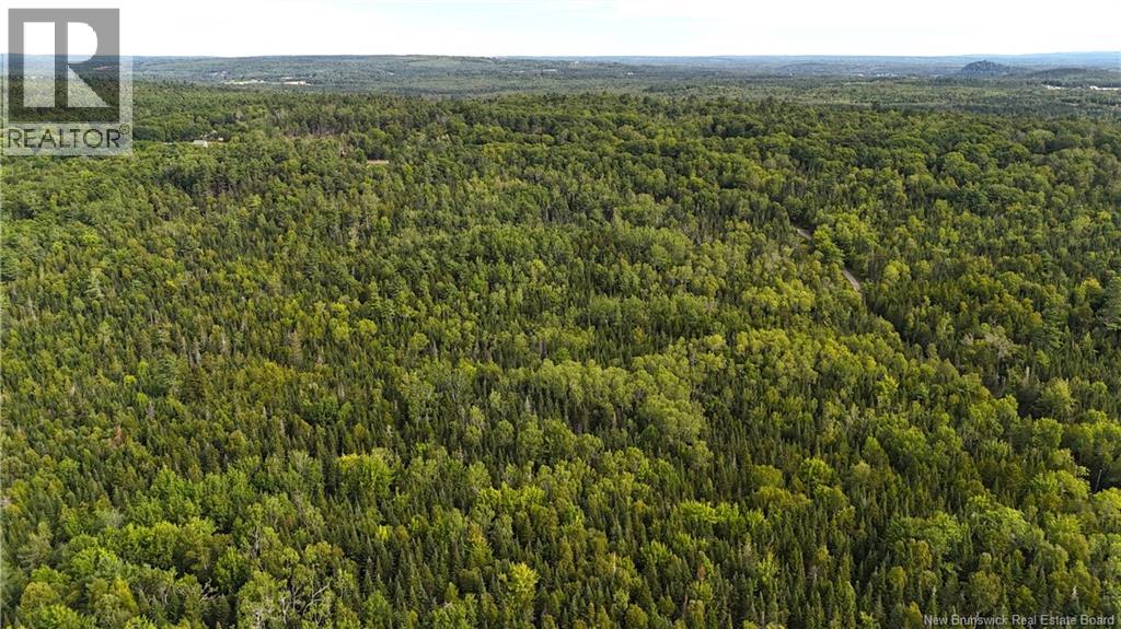 135 Pine Point Road, Dufferin, New Brunswick E3L 0G7 - Photo 48 - NB125285