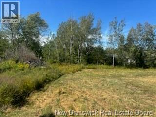 4021 Route 690, Newcastle Creek, New Brunswick  E4B 2K8 - Photo 5 - NB125417