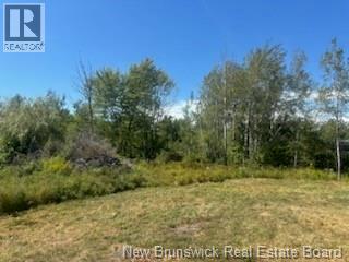 4021 Route 690, Newcastle Creek, New Brunswick  E4B 2K8 - Photo 6 - NB125417