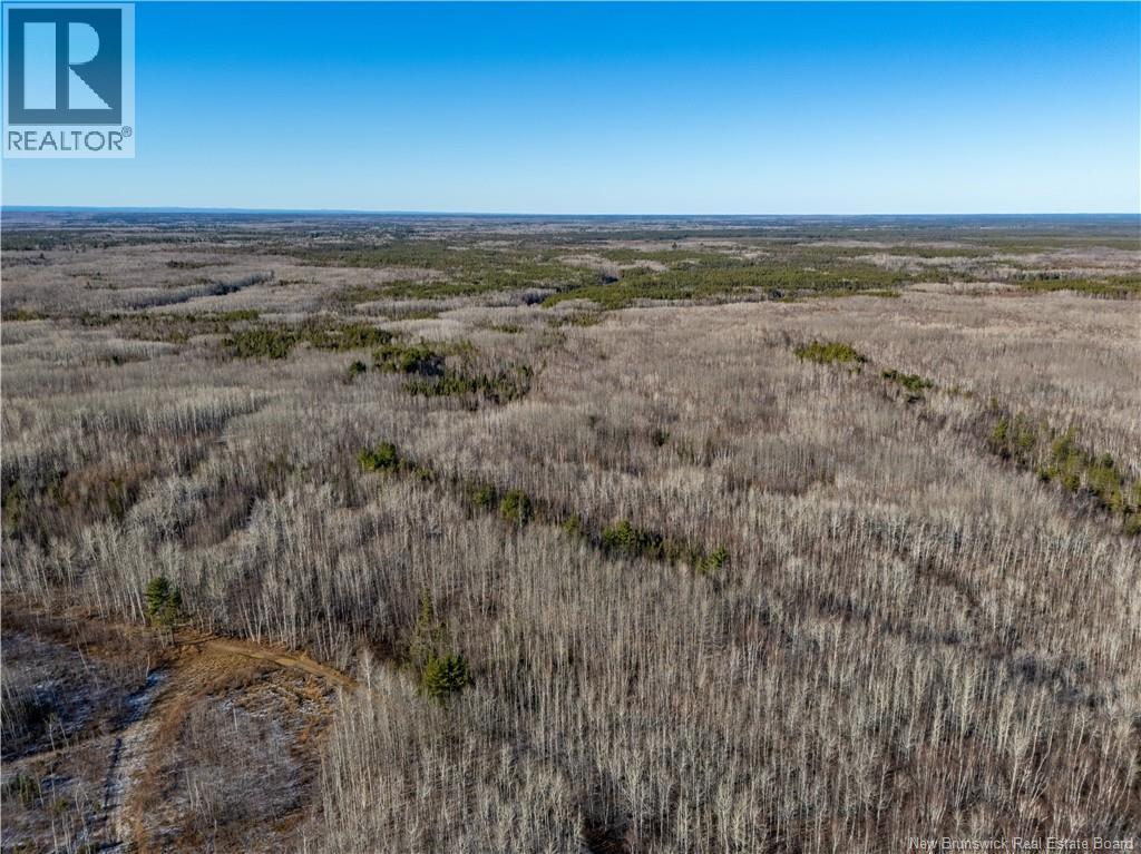 100 Acres Mckinnon Road, Miramichi, New Brunswick  E1V 5Y1 - Photo 1 - NB125507