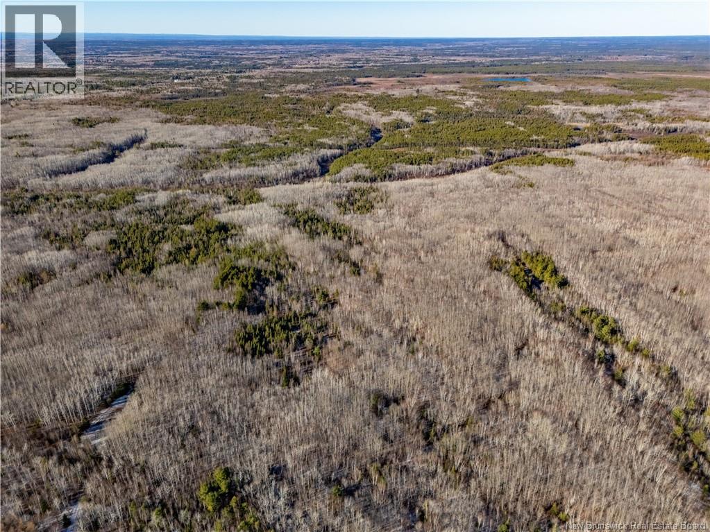 100 Acres Mckinnon Road, Miramichi, New Brunswick  E1V 5Y1 - Photo 2 - NB125507