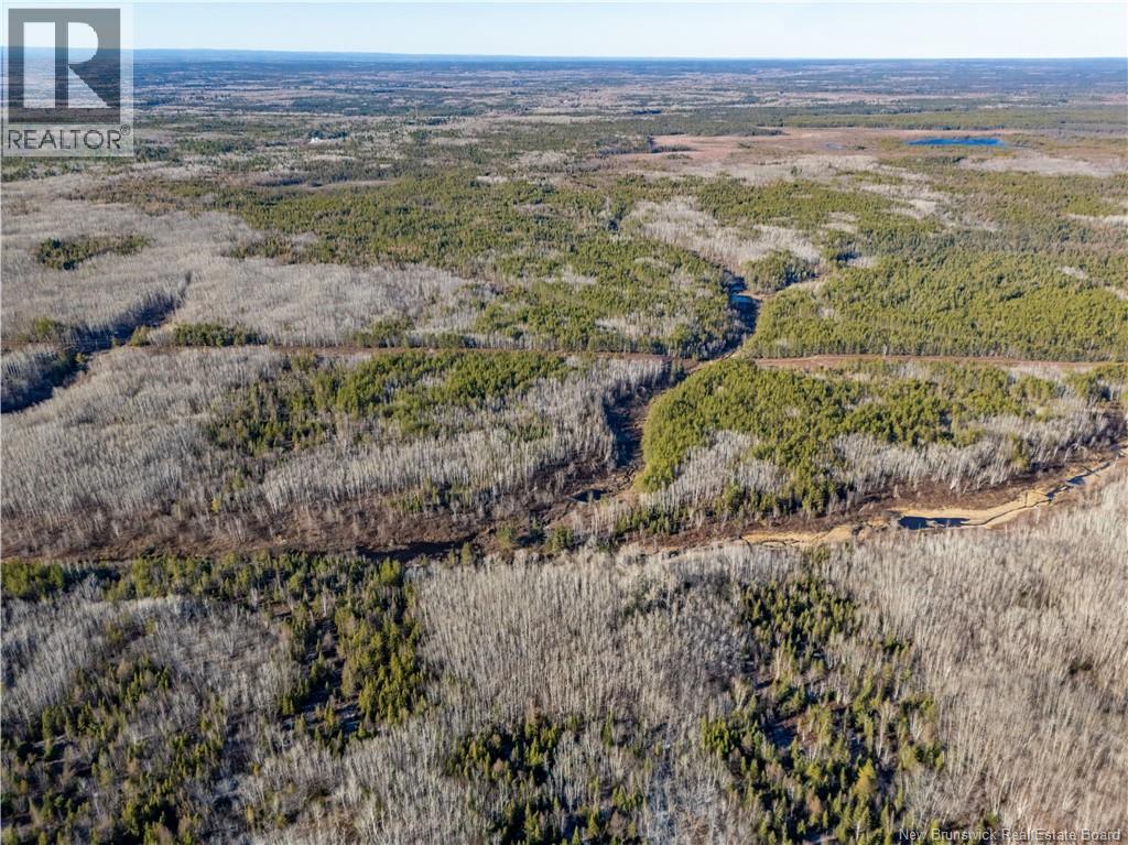 100 Acres Mckinnon Road, Miramichi, New Brunswick  E1V 5Y1 - Photo 3 - NB125507