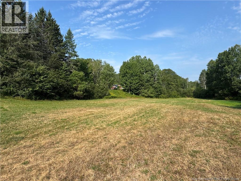 19 A. Prosser Road, Parkindale, New Brunswick E4Z 6L8 - Photo 20 - NB125061