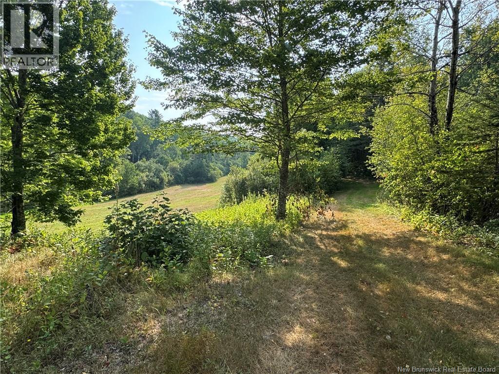 19 A. Prosser Road, Parkindale, New Brunswick E4Z 6L8 - Photo 24 - NB125061