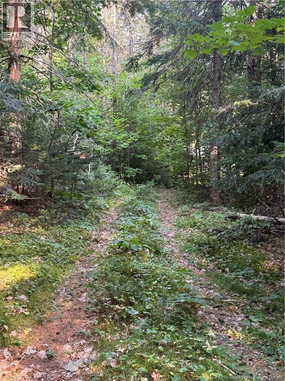 19 A. Prosser Road, Parkindale, New Brunswick E4Z 6L8 - Photo 8 - NB125061